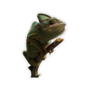 Chameleon sticker, lizard lover gift, animal photograph, clear vinyl stickers for waterbottles