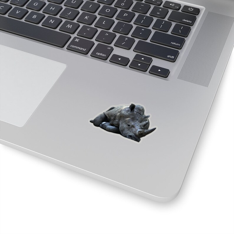 Rhino sticker, wilde dieren van Afrika, dierentuin dieren, foto stickers, laptop sticker afbeelding 2
