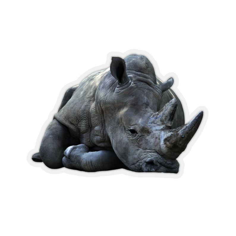 Rhino sticker, wilde dieren van Afrika, dierentuin dieren, foto stickers, laptop sticker afbeelding 1