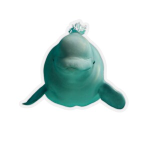 Beluga whale sticker, whale stickers, funny animals, animal lover gift, ocean seaside beach house decor, under the sea stickers