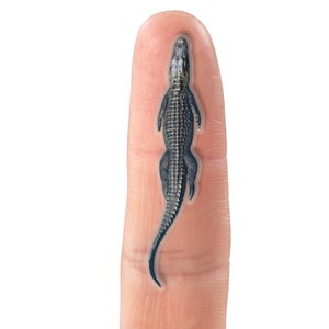Alligator sticker, crocodile stickers, reptile gifts, animal stickers, photo stickers, alligators, crocodiles, cheap animal gifts