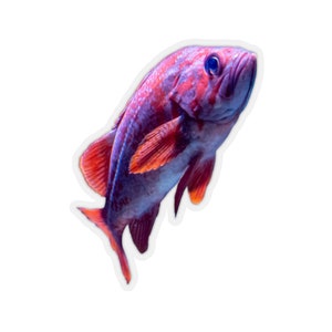 Adesivo per pesci tropicali, barriera corallina, adesivi di animali, adesivi in vinile viola rosa, adesivi per vasche di barriera corallina, adesivi sotto il mare