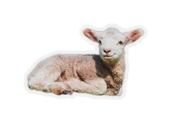 Lam sticker, dierenfoto stickers, baby boerderij dieren, schattige schattige stickers