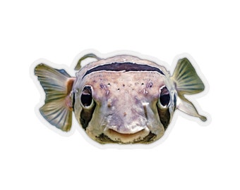 Puffer Fisch Aufkleber, Ozean Tiere Fotos, lustige Aufkleber, Meerestiere Dekor, Vinyl Sticker für Notizbücher