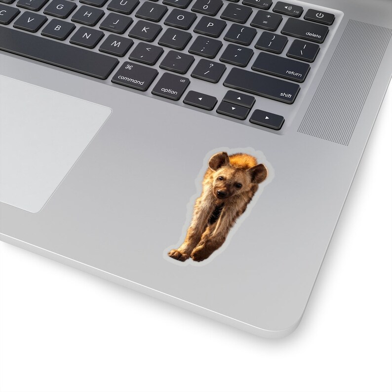 Hyena sticker, wildlife photography stickers, African animals laptop stickers, notebook stickers, animal photographs image 3