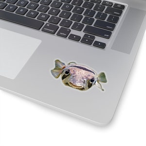 Puffer fish sticker, ocean animals photos, funny stickers, sea creatures decor, vinyl stickers for notebooks image 3