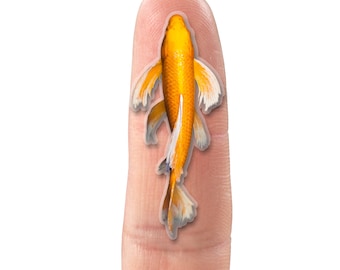 Koi fish sticker, animal photo sticker, transparent vinyl