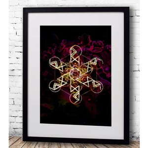 Nordisk bindruna, våren kommer.