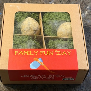Puede incluir: Una caja de cartón con una ventana transparente, que contiene dos geodas en musgo verde. La caja tiene una etiqueta roja con las palabras "FAMILY FUN DAY" y "BREAK-OPEN GEODES" y una ilustración de un hacha azul y naranja.