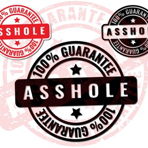 100 % Guarantee | Png | Svg | Pdf | Jpeg | Cut files