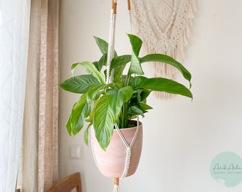 Macrame hanging basket for medium-sized pots