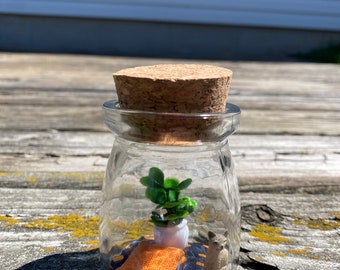 Miniature Terrarium - Cat in the Plant Room