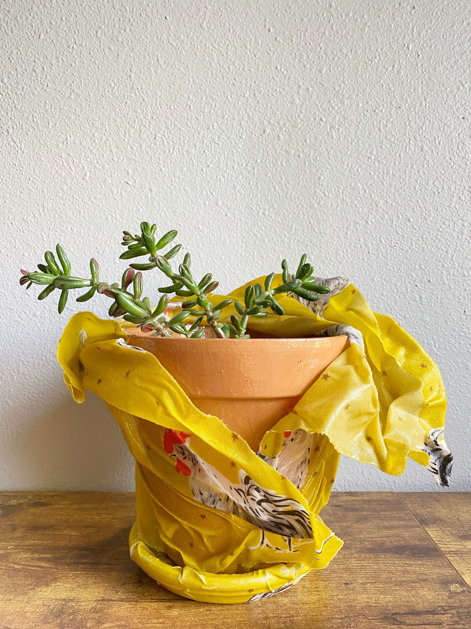 Resincoated Fabric Planter morning Stars Dijon Etsy