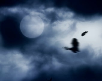 Halloween Video Clip, Full HD 1920x1080p, Video Animation for Video Production, Bats Flying Over The Moon, Video Download, Video Footage