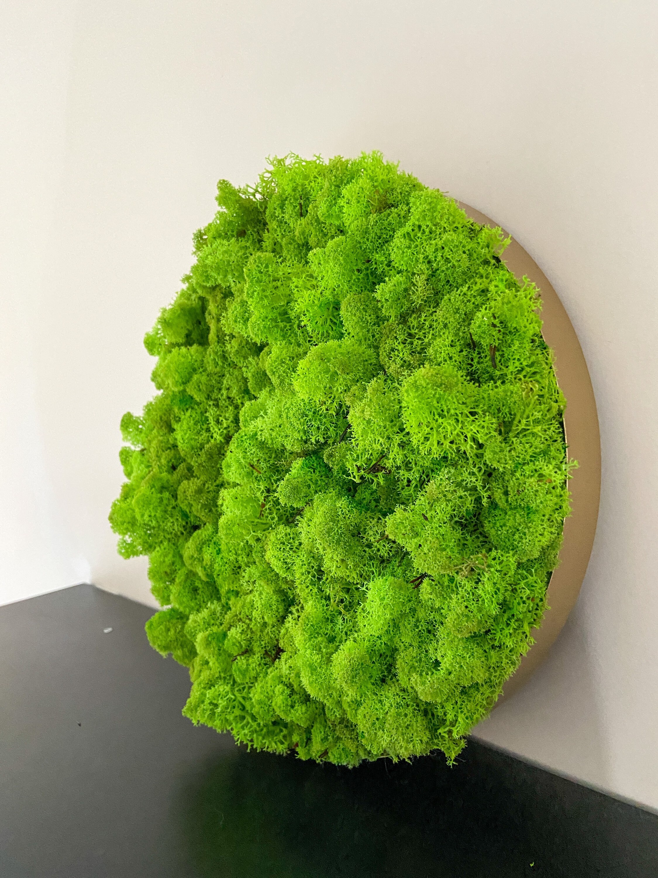 Disque Lichen Stabilisé