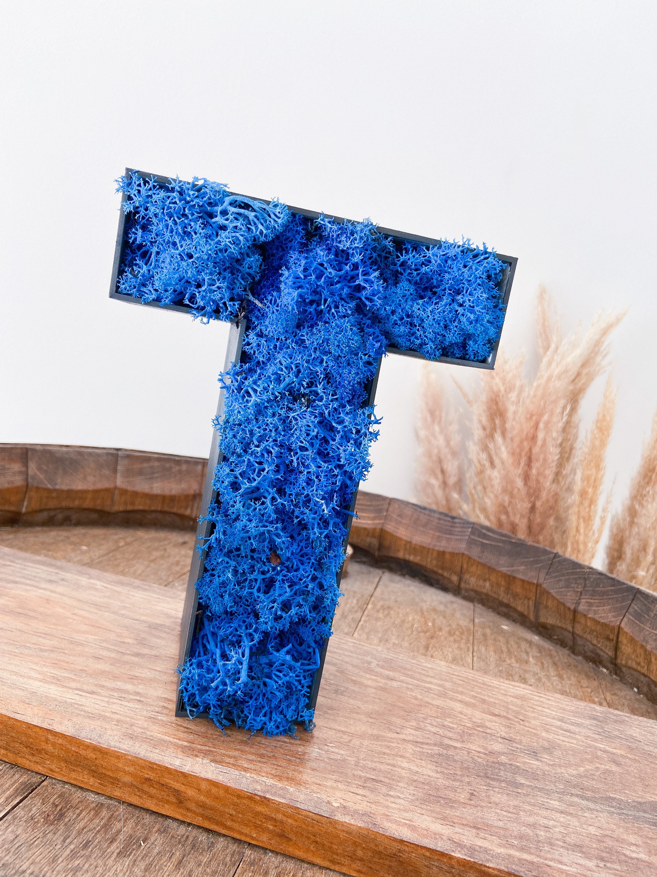 Lettre en Lichen Stabilisé