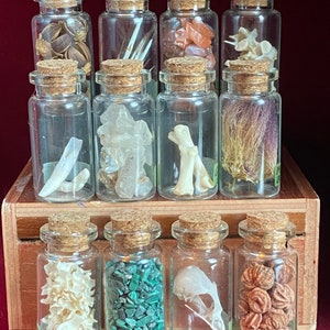 Natural History Mini Glass Specimen Bottles | Mystery Blind Box Nature Oddities Set | real bones | botanical items | crystals & minerals