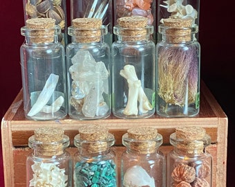 Mini frascos de vidrio para muestras de historia natural / Caja sorpresa misteriosa con curiosidades de la naturaleza / Huesos reales / Artículos botánicos / Cristales y minerales