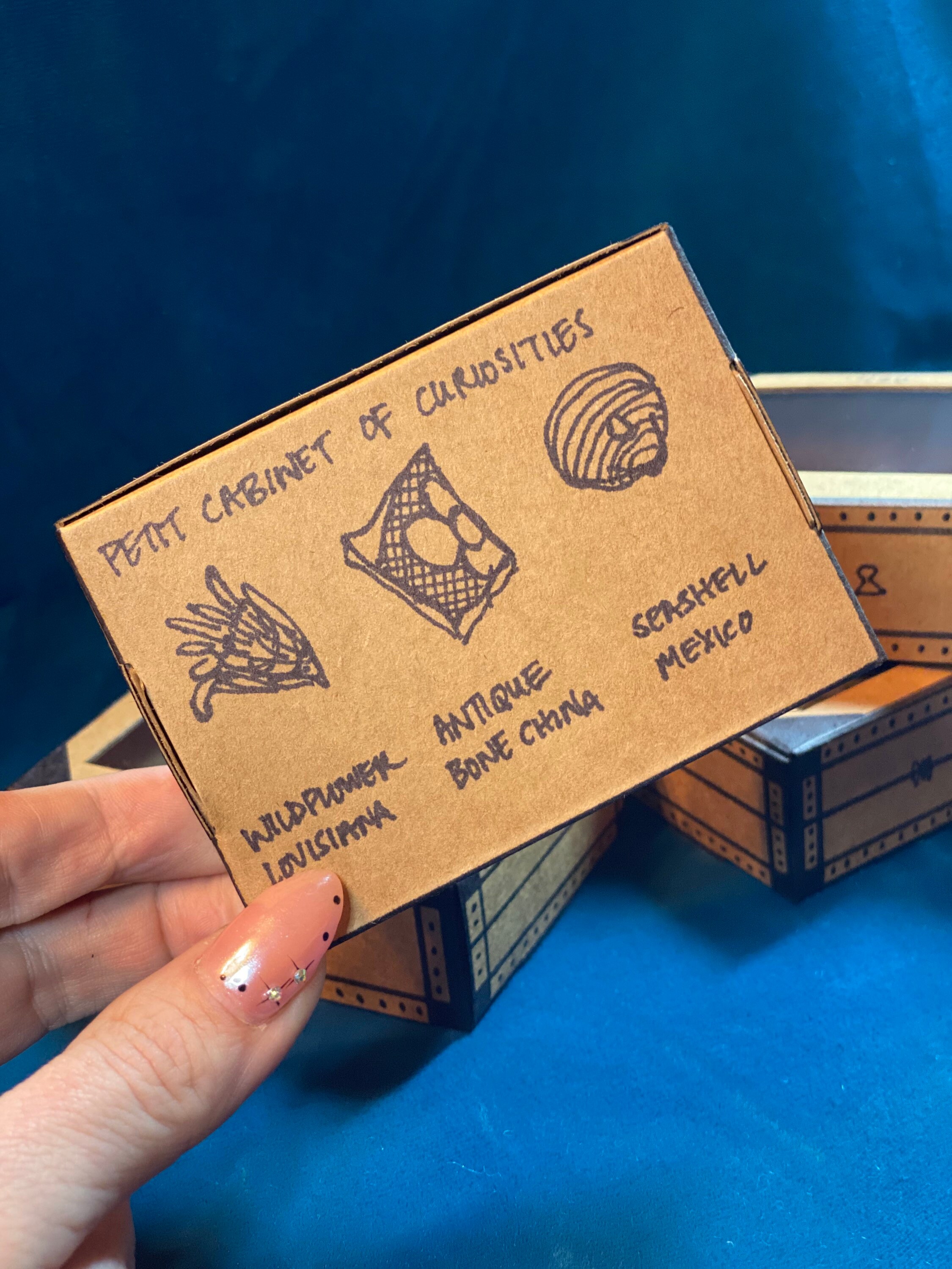 Petit of Curiosities Mystery Box Oddities Real Bone Fossils