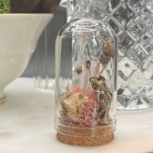 Miniatur Glaskuppel Cloche | Pilze | kristall | Moos | Naturalist Geschenk | Kuriositäten 3,5 cm groß
