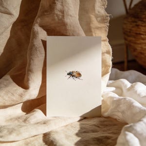 May include: A watercolor illustration of a beetle on a cream-colored card. The beetle is brown with black and blue accents. The card is set against a backdrop of beige fabric and a woven basket.