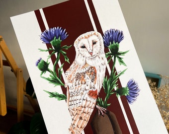 Barn Owl and Thistle Print | Autumn Decor | Wildlife | Birds of Prey