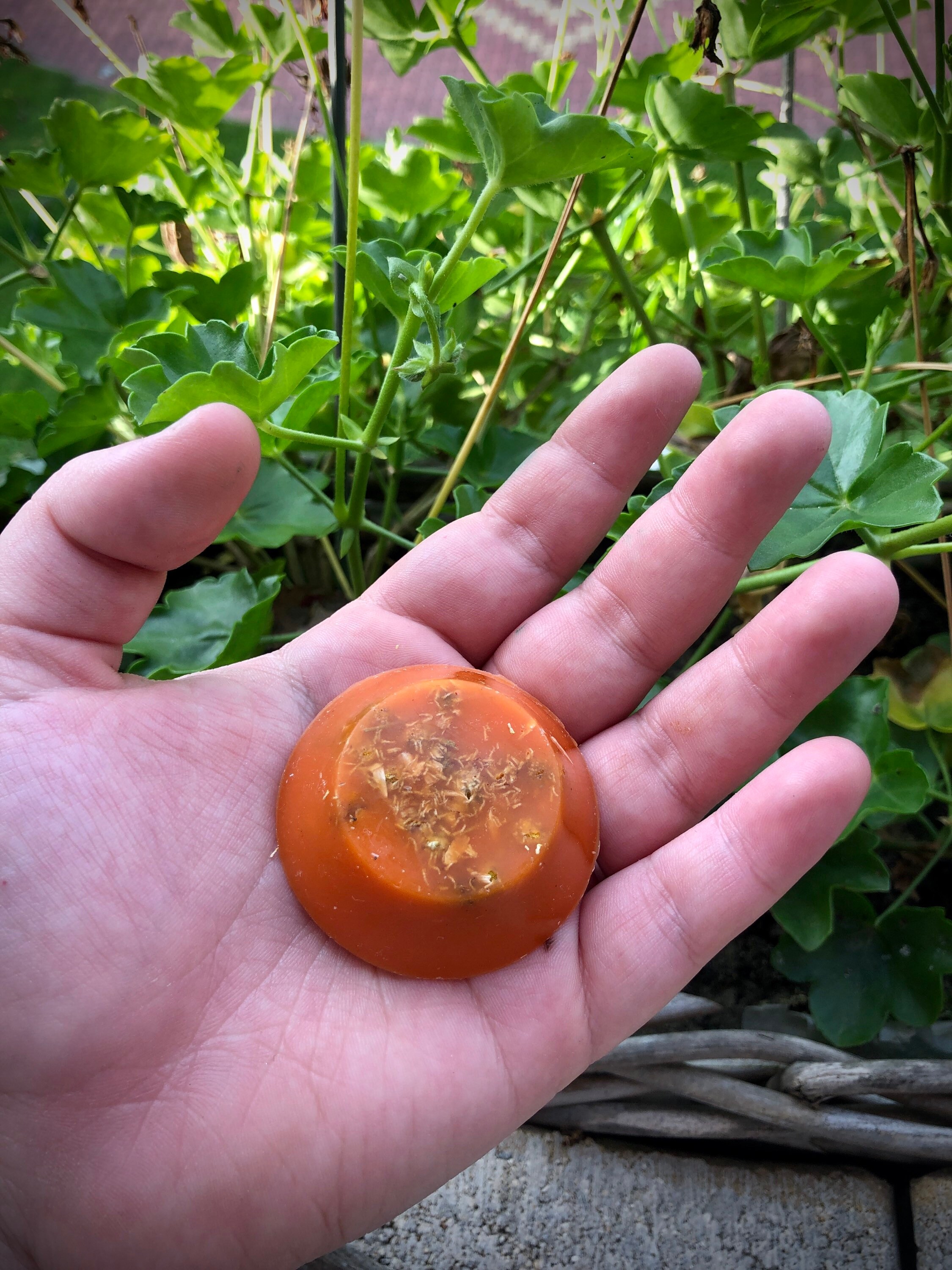 Fondant Cristal Mystère Senteur Automnale