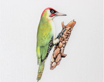 Pivert Etsy