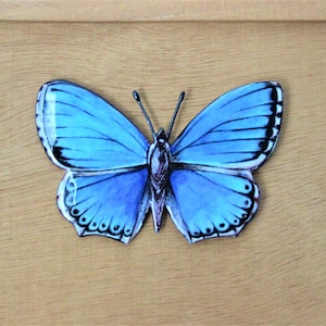 BUTTERFLY azure blue sky interior or exterior metal wall decoration