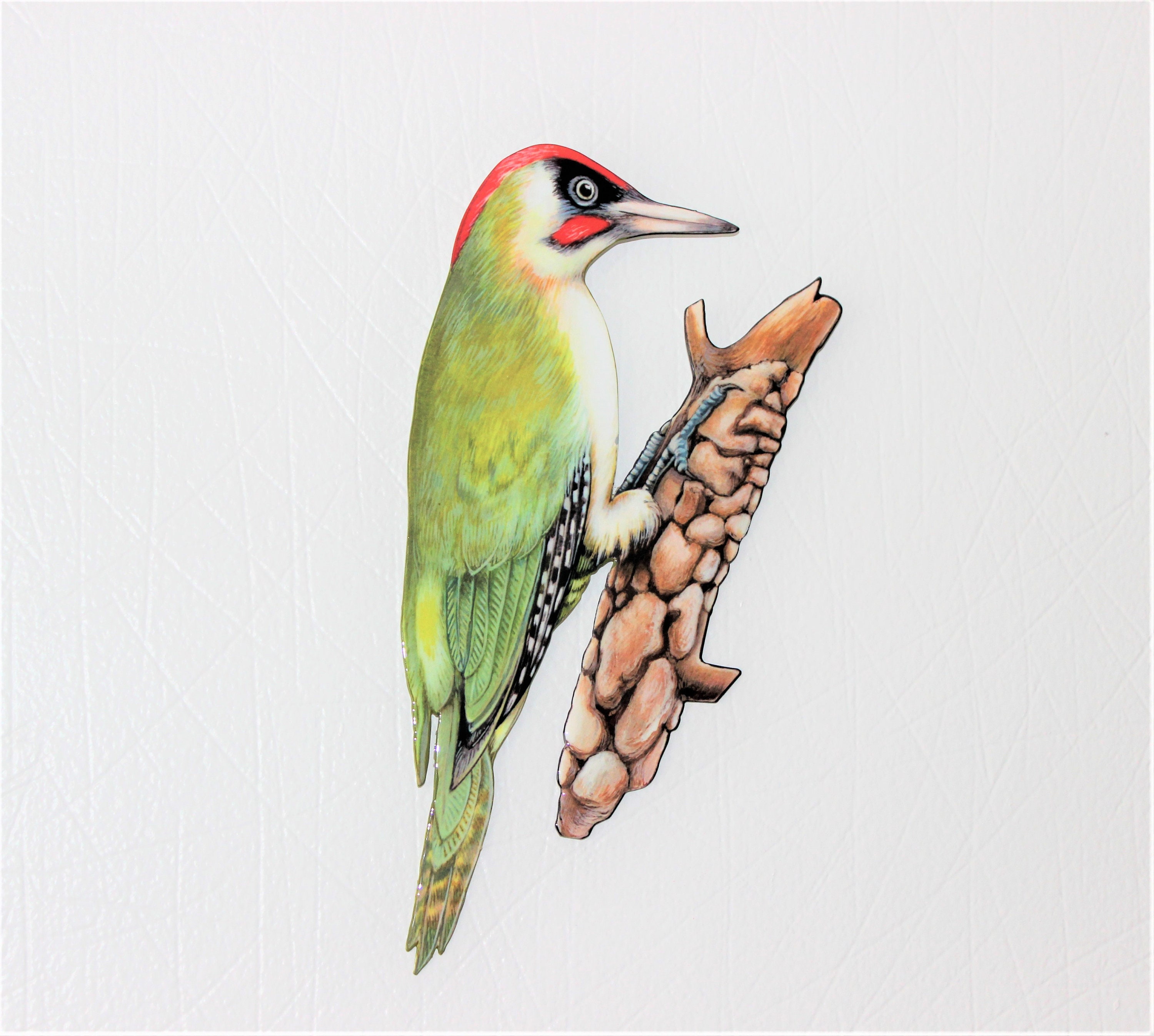 Pivert ou Pic Vert Décoration Murale en Métal Intérieure Extérieure