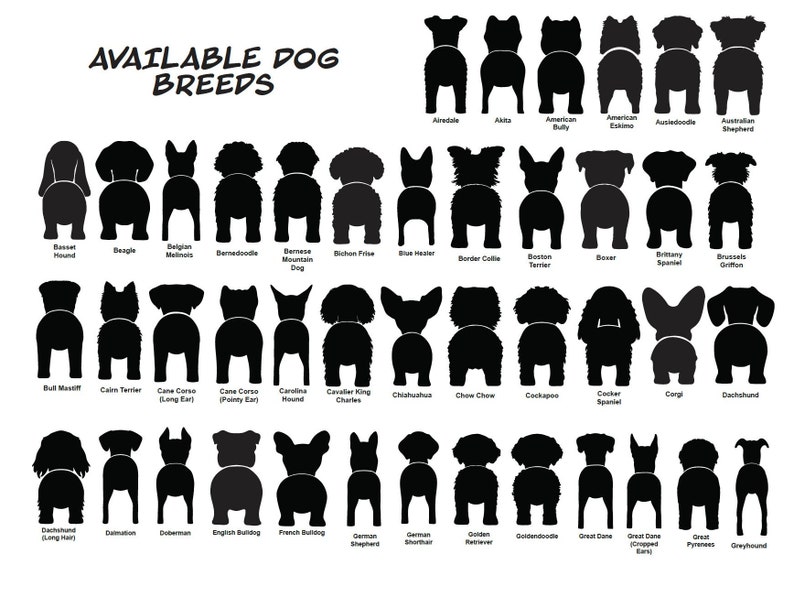 K&ouml;nnte beinhalten: Eine Schwarzwei&szlig;grafik, die die R&uuml;ckansicht von 40 verschiedenen Hunderassen zeigt. Die Rassen sind unter jeder Silhouette aufgelistet. Der Text "AVAILABLE DOG BREEDS" befindet sich oben im Bild.