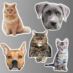 Imanes personalizados para refrigerador de mascotas. Gato, perro y otros animales. Resistentes al agua. Decorativos. Regalo para amantes de las mascotas, recuerdo, cumpleaños, familia y amigos.