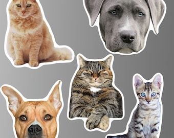 Imanes personalizados para refrigerador de mascotas. Gato, perro y otros animales. Resistentes al agua. Decorativos. Regalo para amantes de las mascotas, recuerdo, cumpleaños, familia y amigos.