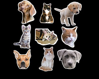 Stickers personnalisés pour animaux de compagnie. Chats, chiens ou tout autre animal. Sur des autocollants en vinyle, des décalcomanies. Papier glacé imperméable.