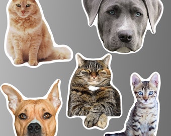 Magneti da frigorifero per animali domestici personalizzati. Gatto, cane, altri animali. Impermeabile. Decorativo. Regalo per gli amanti degli animali domestici, ricordo, compleanno, famiglia, amici.