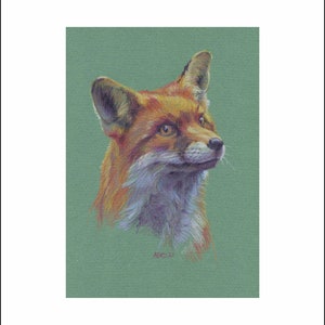 A4 Giclee print 'Klaus the Fox Cub' a high quality print of my original coloured pencil drawing on archival cotton paper image 2