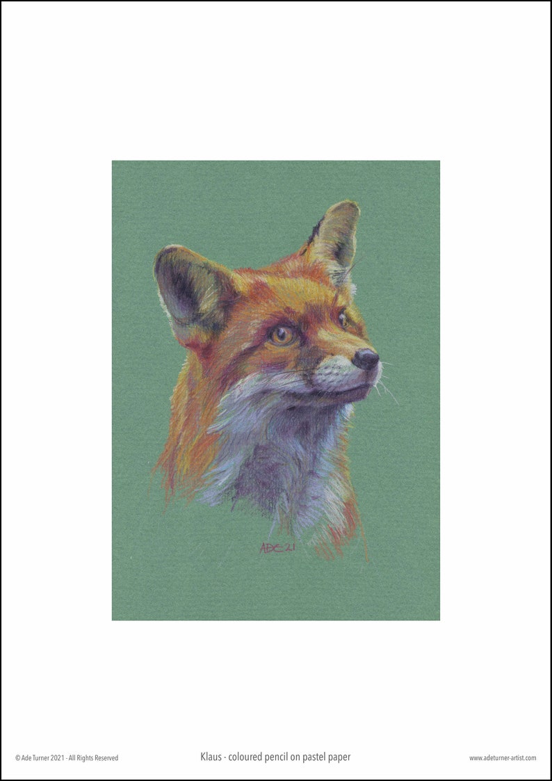 A4 Giclee print 'Klaus the Fox Cub' a high quality print of my original coloured pencil drawing on archival cotton paper image 2