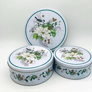 Può includere: Tre barattoli rotondi in metallo azzurro con coperchi. Ogni barattolo presenta un motivo floreale bianco con un uccello e accenti verdi. I coperchi hanno un bordo verde. I barattoli sono di diverse dimensioni, nidificati.