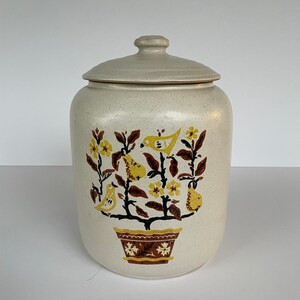 Può includere: Un barattolo per biscotti in ceramica bianca con una glassa macchiata e un disegno floreale marrone, giallo e nero con uccelli e pere. Il barattolo ha un coperchio con un pomo.