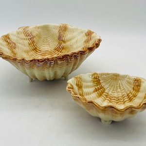 Pode incluir: Duas tigelas de cerâmica em forma de concha. A tigela maior é branca com listras marrons e tem três pequenos pés. A tigela menor é do mesmo design, mas menor.