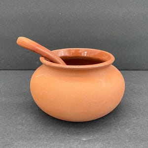 Vintage Terra Cotta Salsa Bowl & Serving Spoon - Glazed Inside