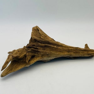 Vintage Piece of Driftwood/Natural Wood Decor/Bookshelf Decor