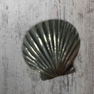 May include: A silver-colored seashell with a textured, ribbed surface. The shell is closed and has a smooth, rounded edge.