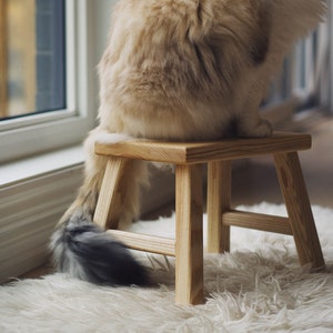 Little Stool