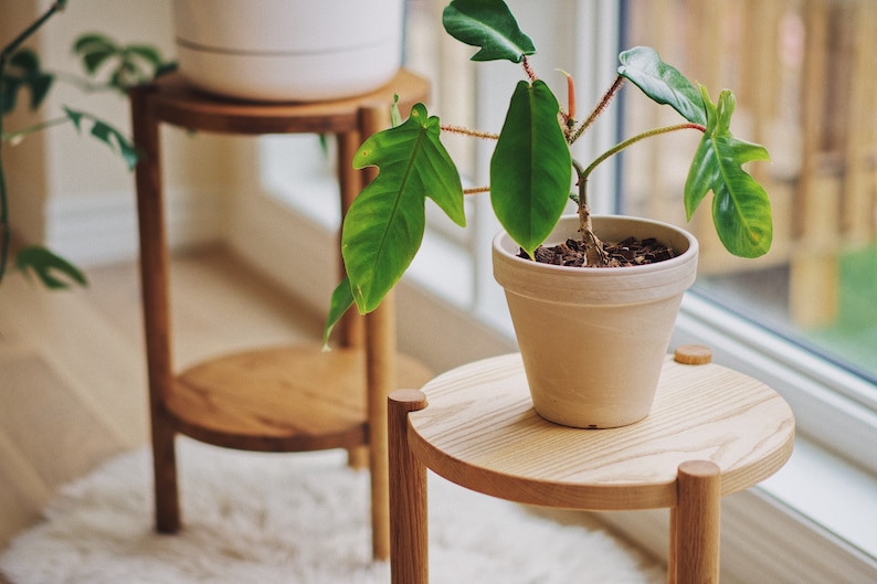 WOODEN SIDE TABLE, Plant Stand Indoor, Small End Table, Aesthetic Solid Wood 3 Leg Round Bedside Table, Night Stand image 2