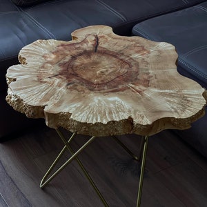 Mesa de centro, Mesa de centro de madera, Mesa de centro moderna, Mesa de centro de losa, Mesa rústica, Mesa de centro redonda, Mesa de centro Live Edge