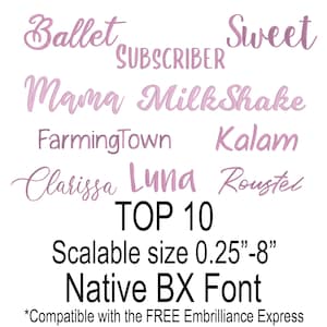 Top 10 Bundle Fonts Satin Stitch Native Scalable Sizes 0.25 - 8 inches BX Font Embroidery Text Alphabet Design Instant Download Punctuations