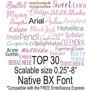 Top 30 Bundle Fonts Satin Stitch Native Scalable Sizes 0.25 - 8 inches BX Font Embroidery Text Alphabet Design Instant Download Punctuations