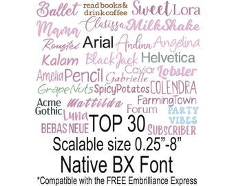 Top 30 Bundle Fonts Satin Stitch Native Scalable Sizes 0.25 - 8 inches BX Font Embroidery Text Alphabet Design Instant Download Punctuations