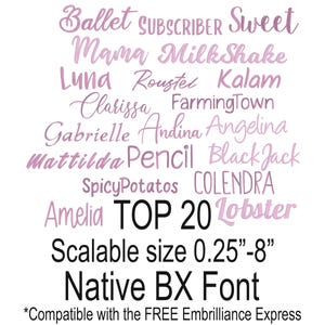 Top 20 Bundle Fonts Satin Stitch Native Scalable Sizes 0.25 - 8 inches BX Font Embroidery Text Alphabet Design Instant Download Punctuations